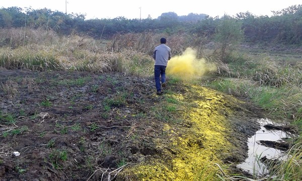 20141102_080916.jpg