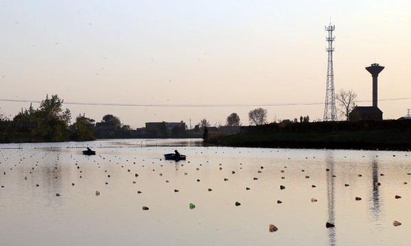 IMG_6300.jpg