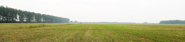 IMG_5178.JPG
