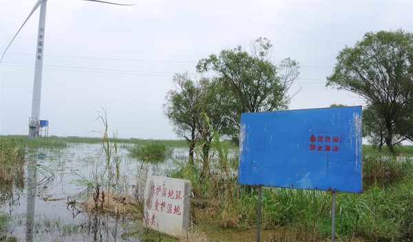DSC_7609_2345看图王.jpg