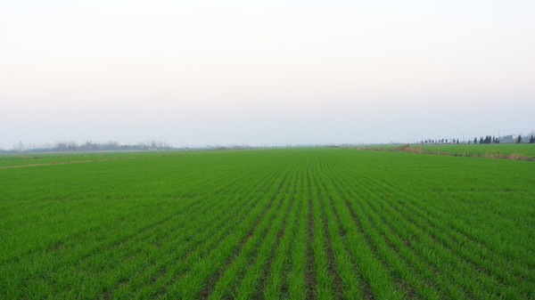 DSC_8324.JPG