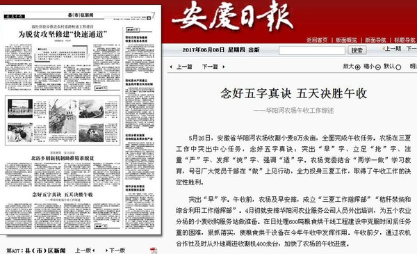 午收1.jpg