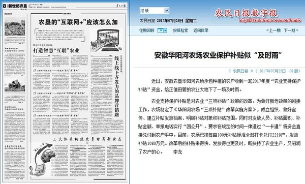 农业保护补贴.jpg