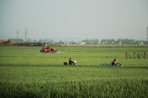 植保机械小麦田间一喷三防   沈松远.jpg