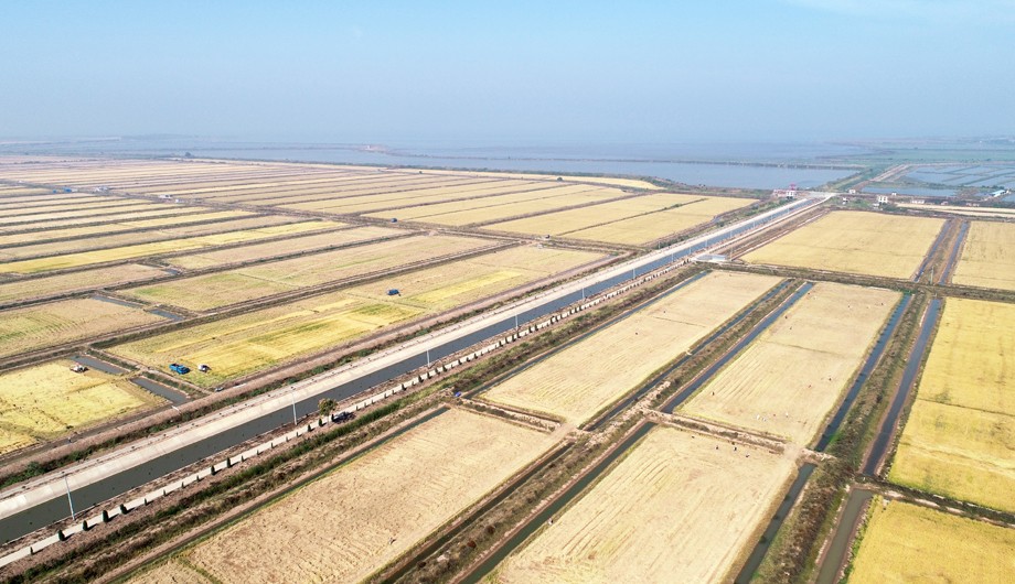 DJI_0321.JPG