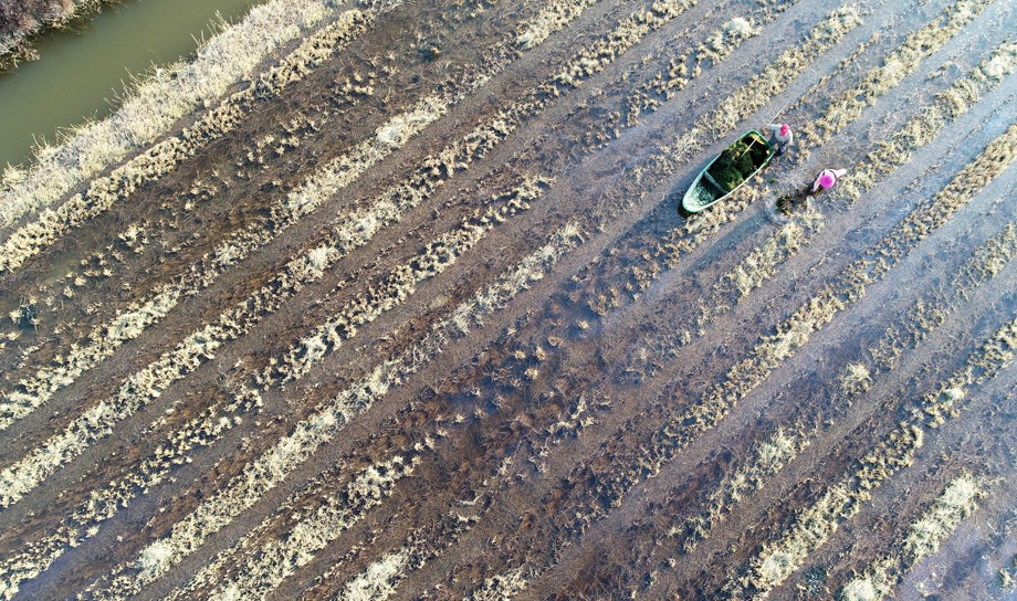 DJI_0294.JPG