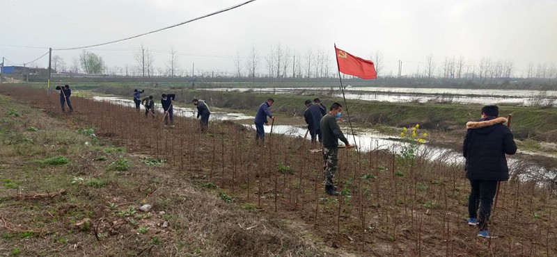 微信图片_20200313134634.jpg