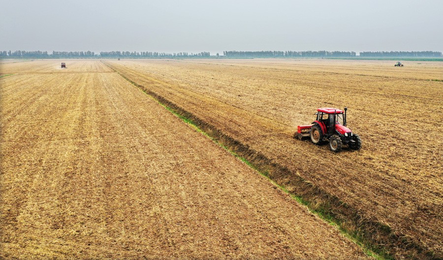 DJI_0495.JPG
