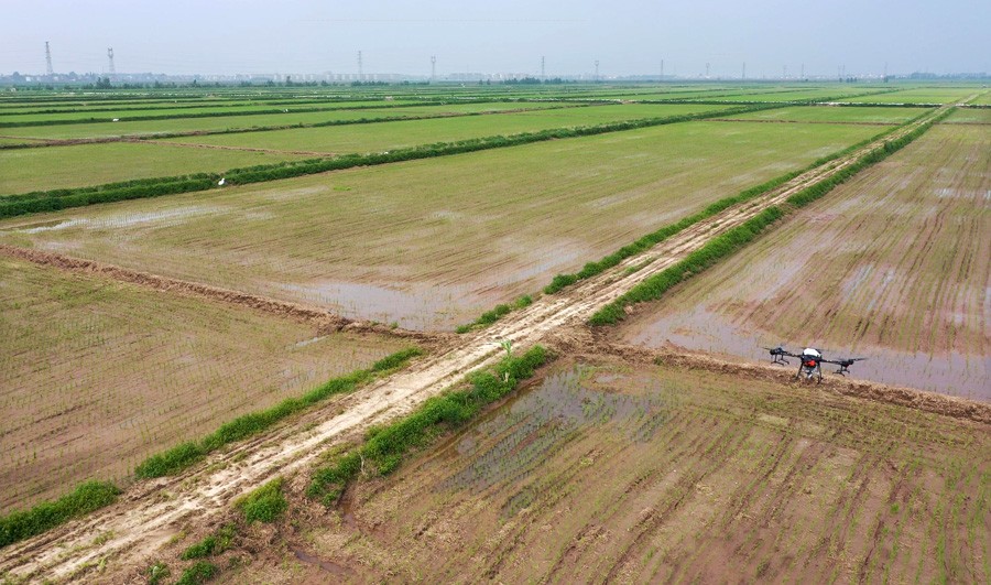 DJI_0492_20200714152326.JPG