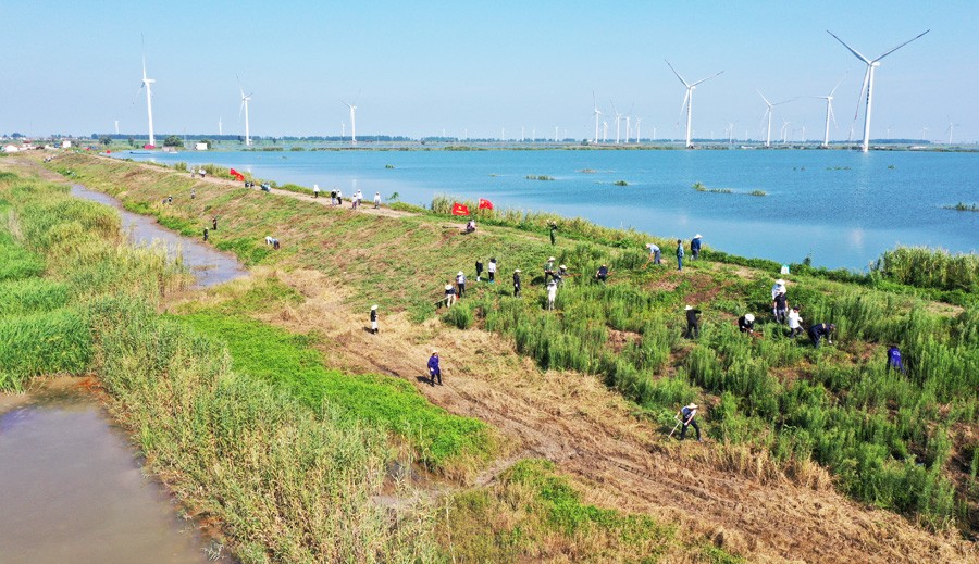 DJI_0824.JPG