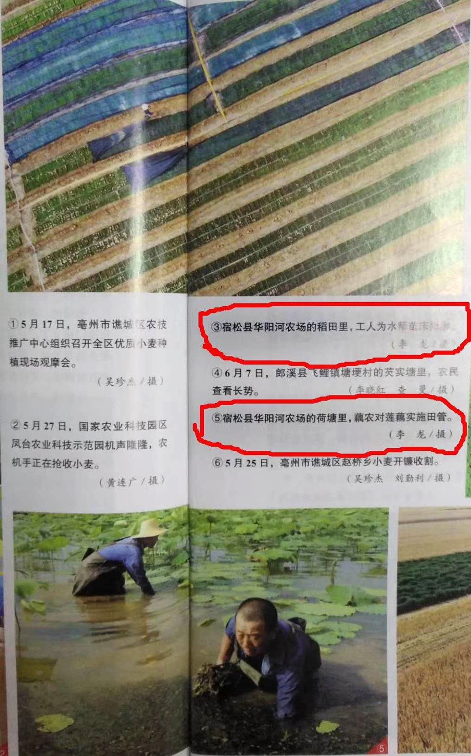 7.15.jpg