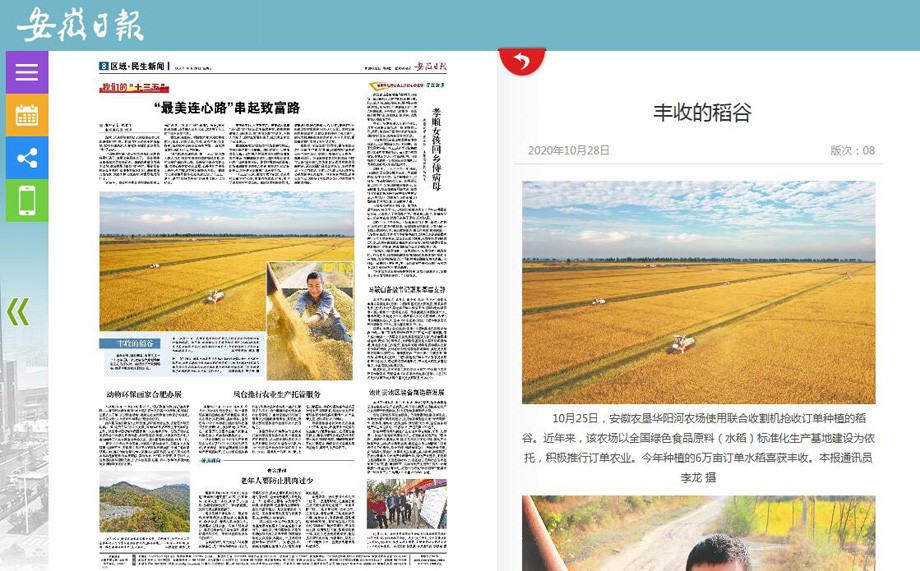 安徽日报.jpg