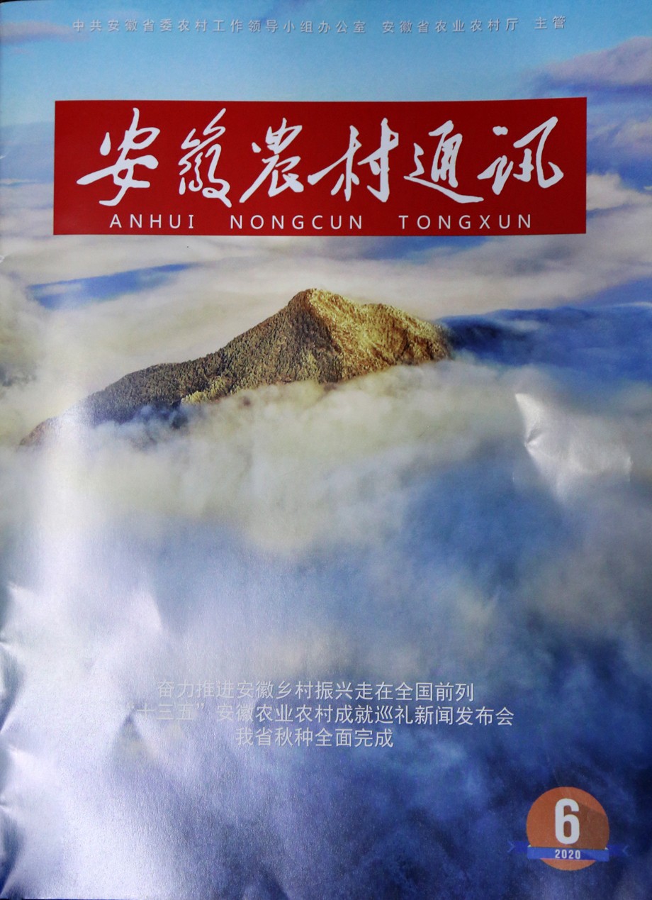 安徽农村通讯62.JPG