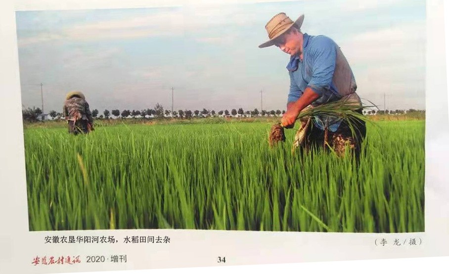 9月安徽农村通.jpg