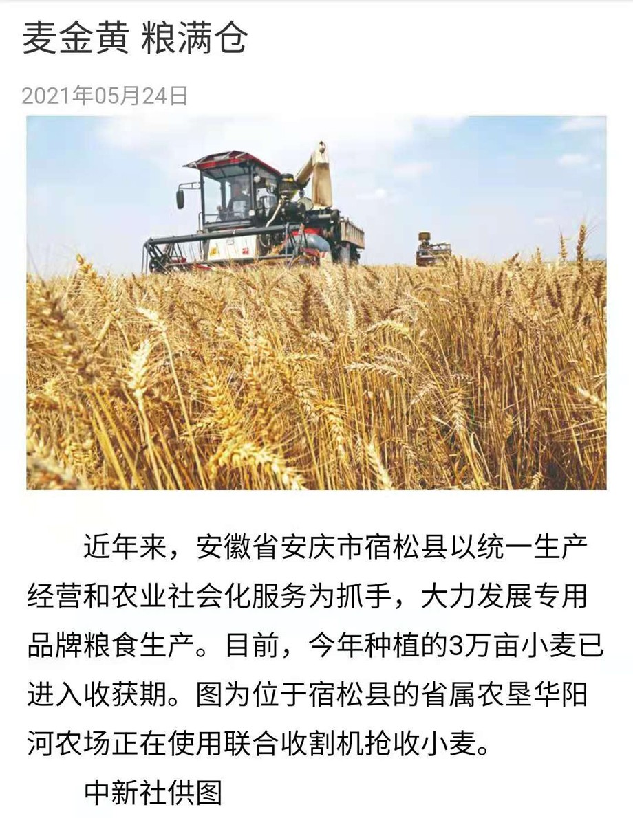 5.24中国信息报0.jpg