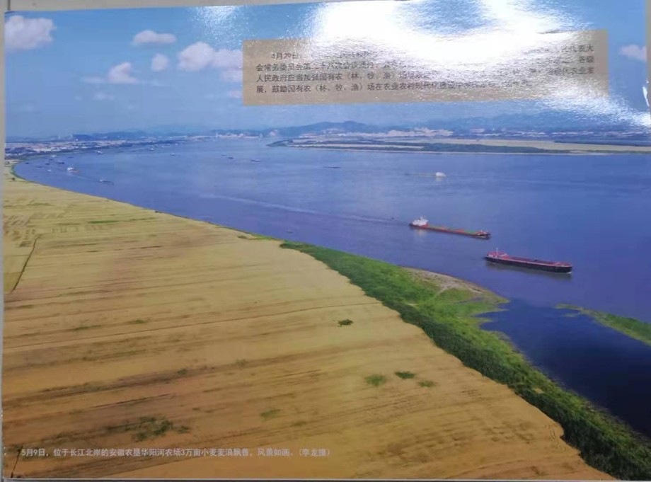 6期中国农垦（封底）.jpg