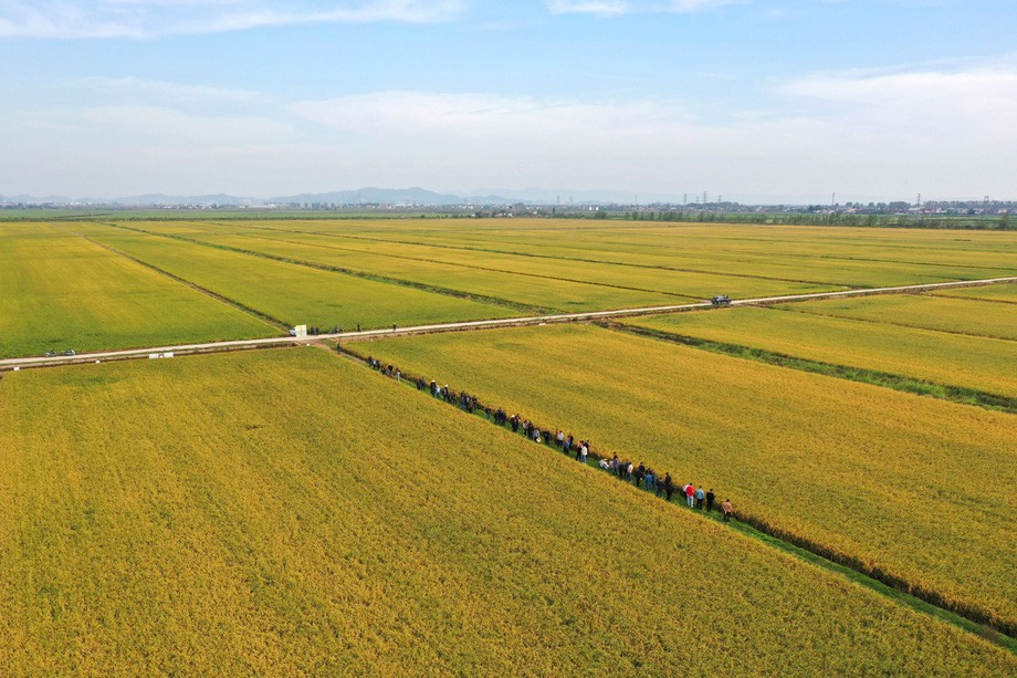 DJI_0961.JPG