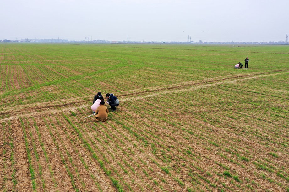 DJI_0008.JPG