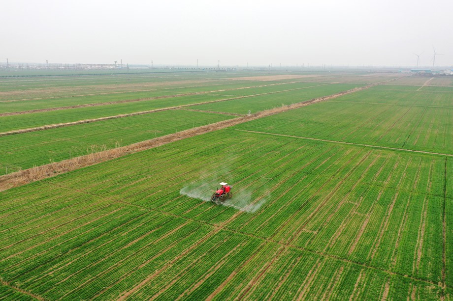 DJI_0039.JPG