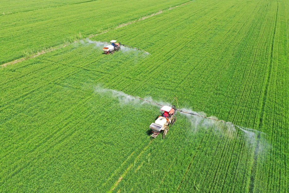 DJI_0005.JPG