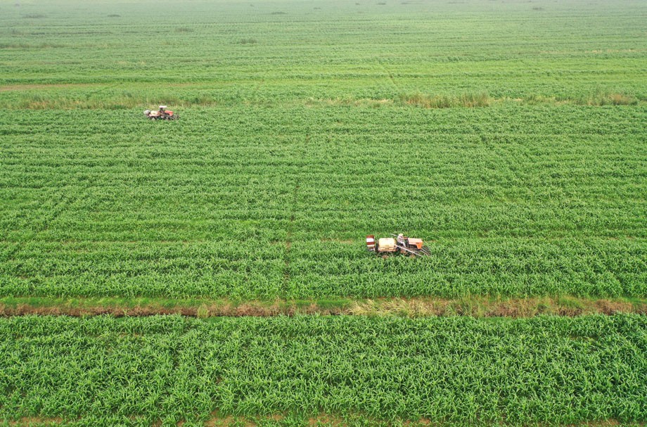 DJI_0055.JPG
