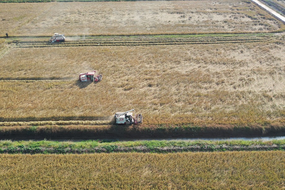 DJI_0017.JPG