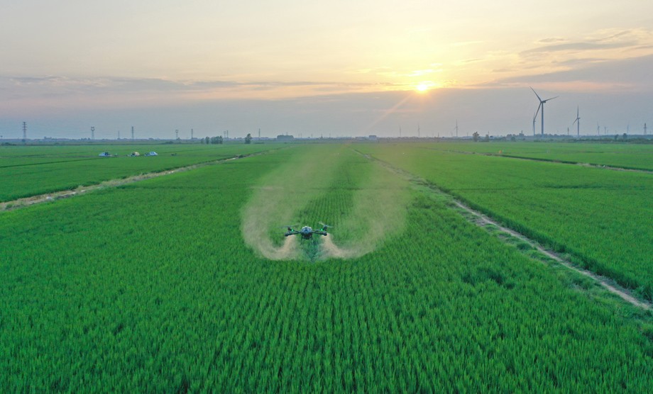 DJI_0004.JPG