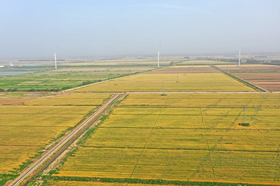 DJI_0006.JPG