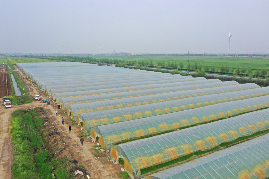 DJI_0011.JPG